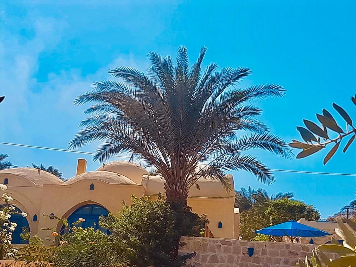 Lemon Tree Villa Tunis Экстерьер фото