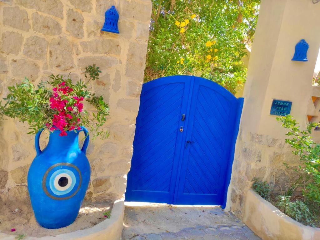 Lemon Tree Villa Tunis Экстерьер фото