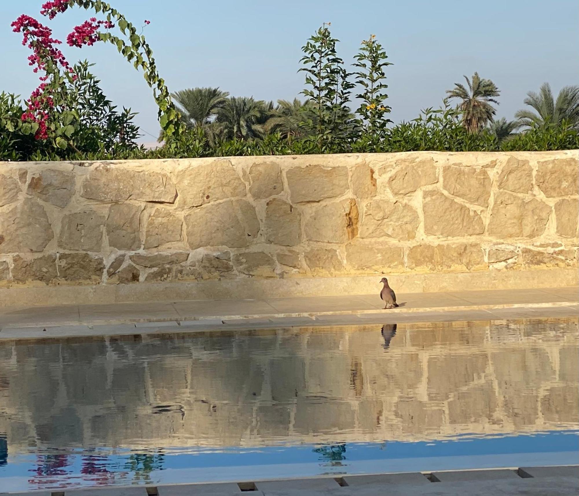 Lemon Tree Villa Tunis Экстерьер фото